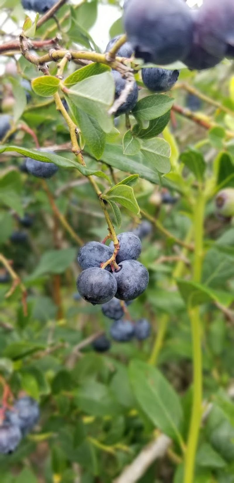 The little details that stayed with me