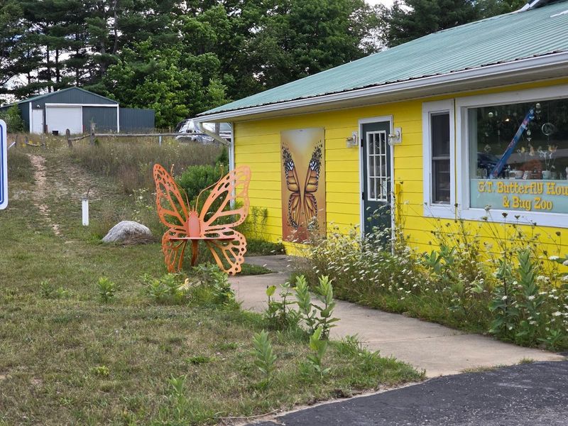 Small size, big payoff