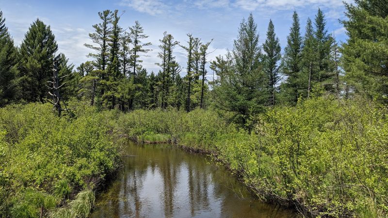 The Au Sable River: A Rolling Backdrop to the Whole Experience