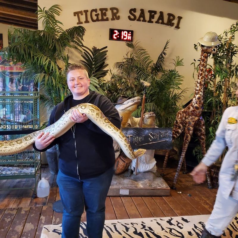 VIP Encounters: Getting Hands-On With the Animals