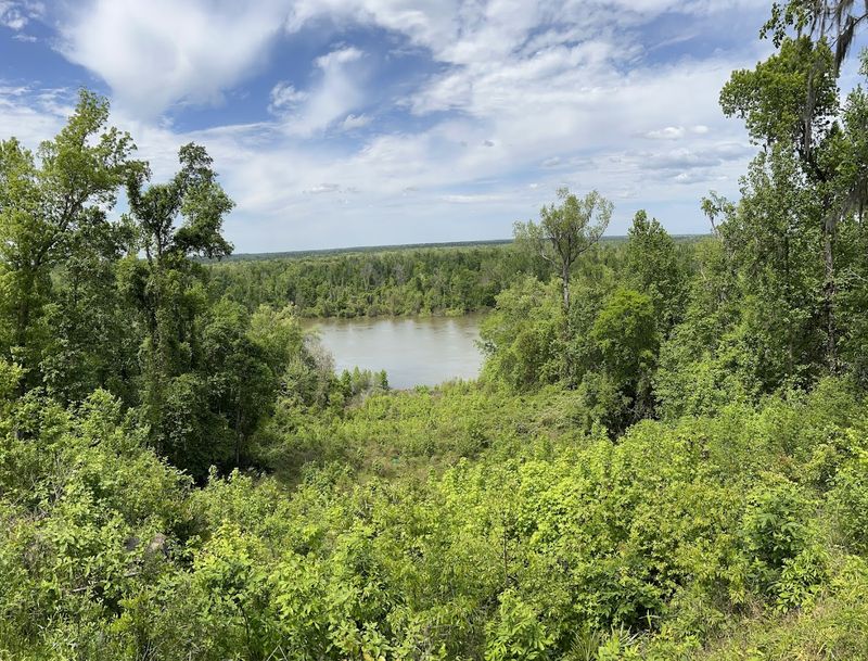 Torreya State Park Trails