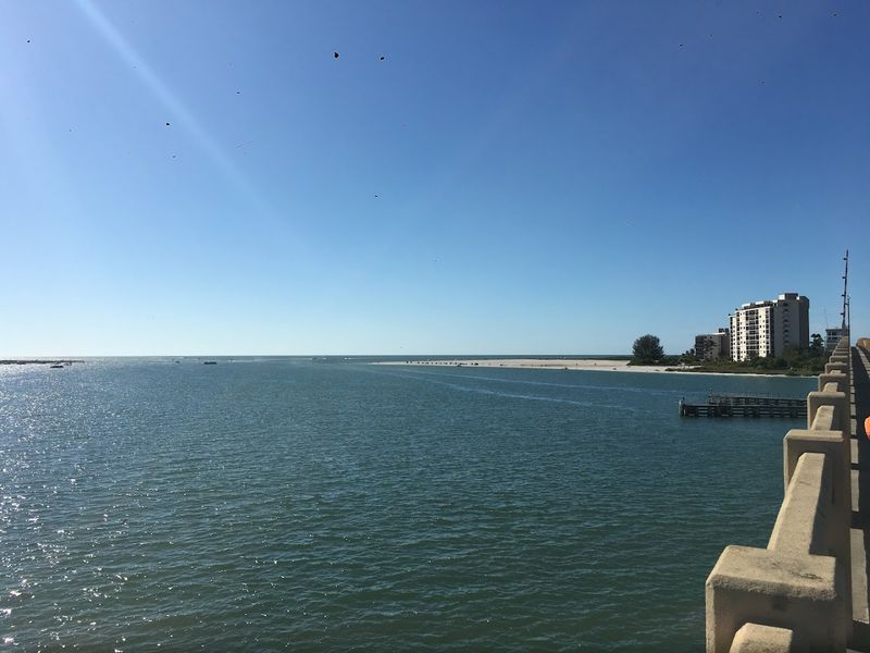 Fishing Off the Bridges and Beach