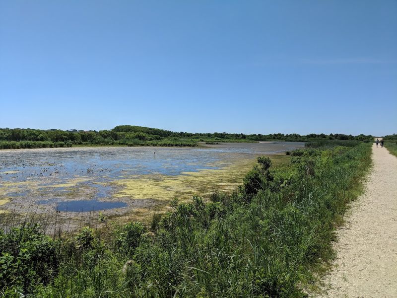 South Cape May Meadows (Cape May County)