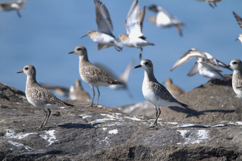 A Tour That Works for Every Age and Experience Level