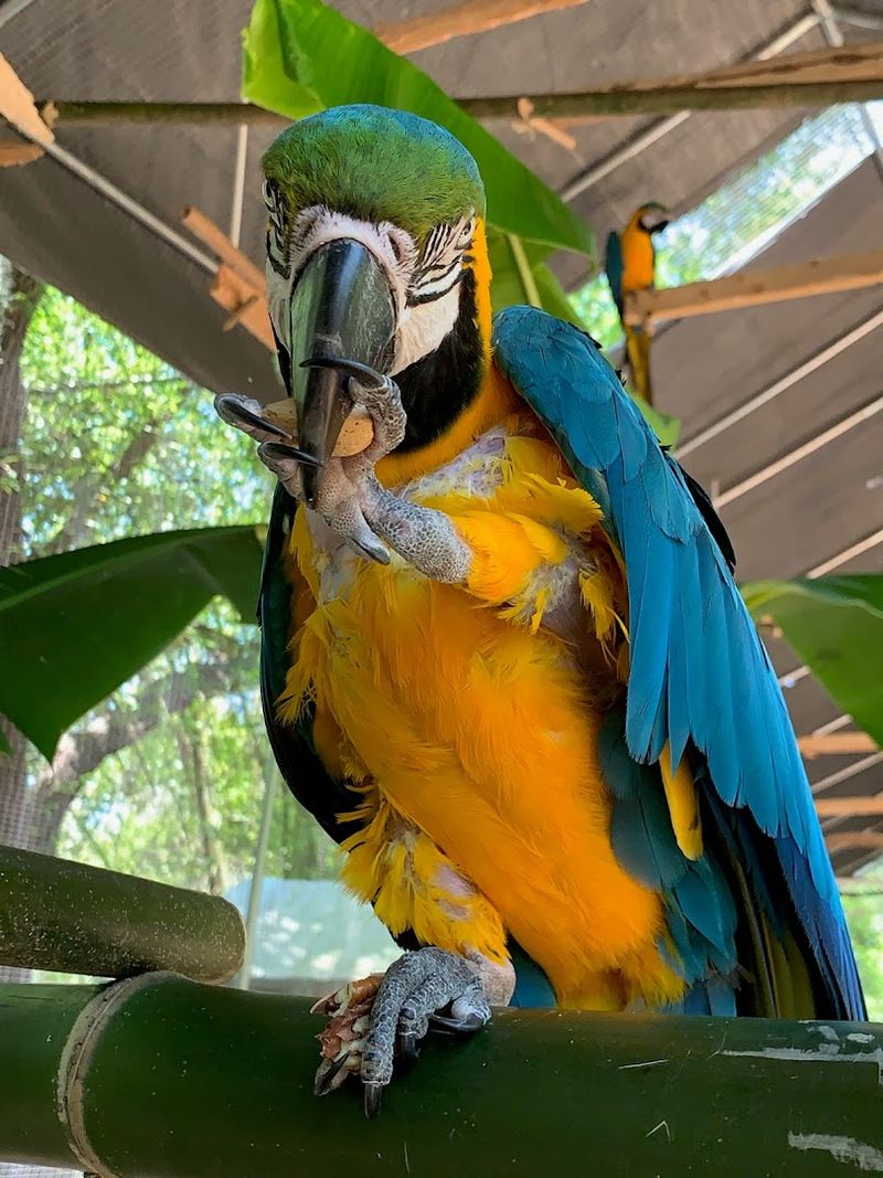 What Makes Zaksee Different from a Zoo or Pet Store