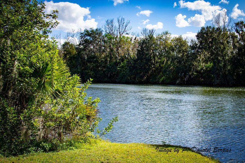 Geocaching Adventures for the Curious Explorer