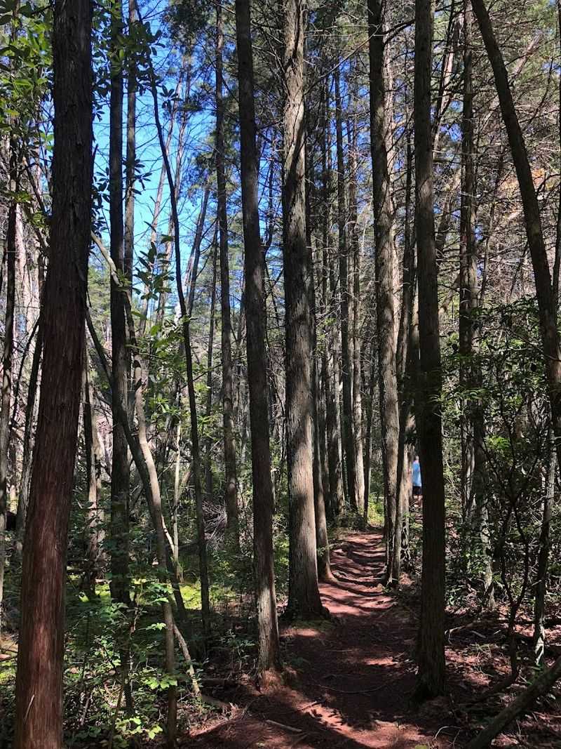 Tick Awareness and How to Prepare Properly