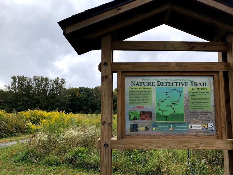 Trails Beyond the Boardwalk