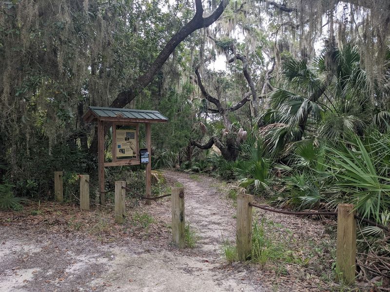 Hiking the Shell Mound Trail and What to Expect