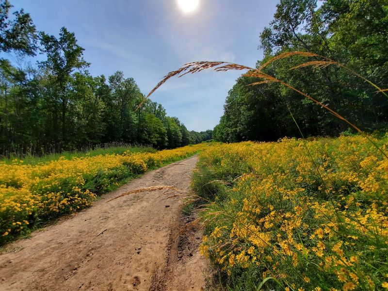 Horseback Riding in the Preserve