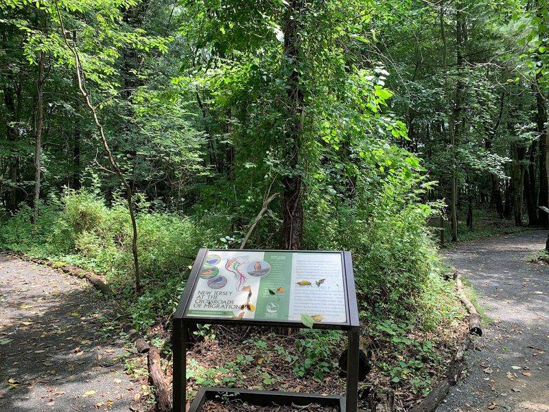 Guided Walks That Are Worth Your Time