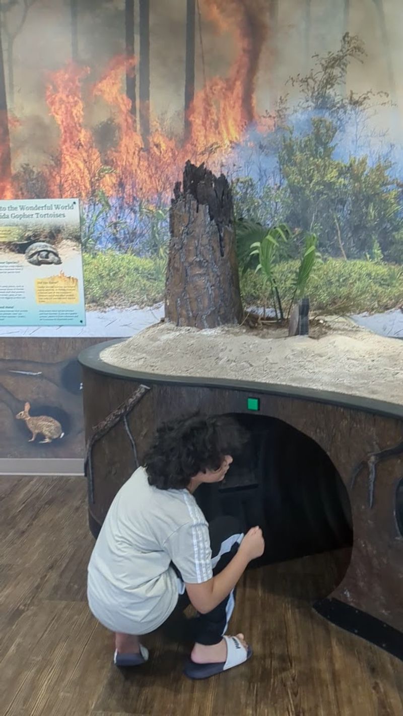 Otters Playing in Their Habitat