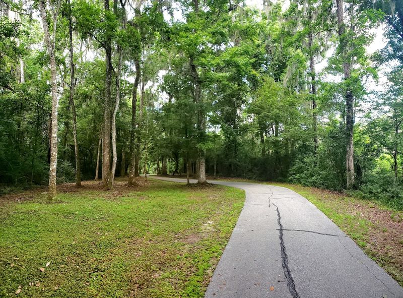 The Shaded Canopy and Florida Summer Riding