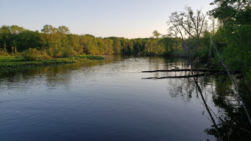 A Free Resource That Belongs in Every Family's Rotation