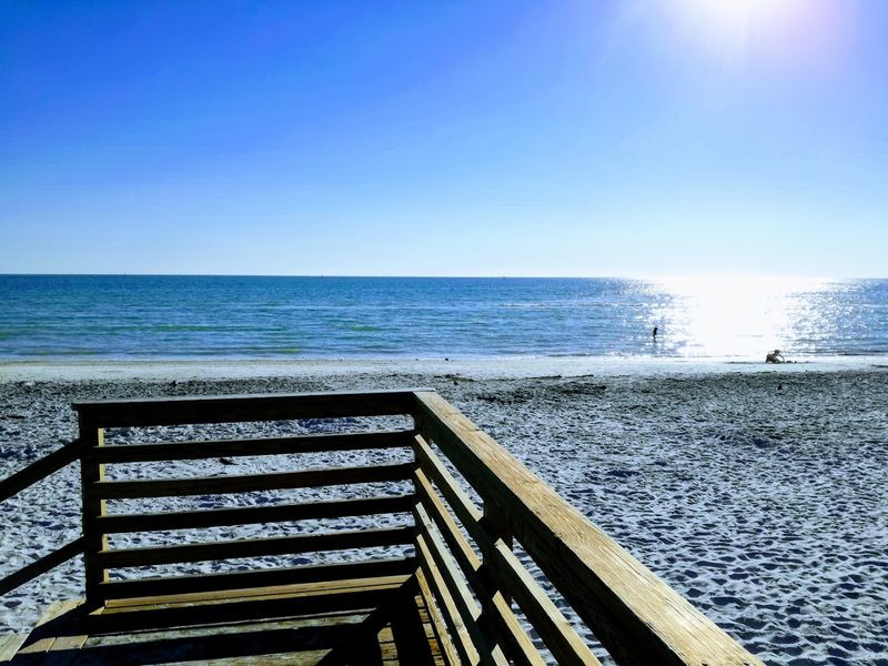 The Dog Beach That Actually Works