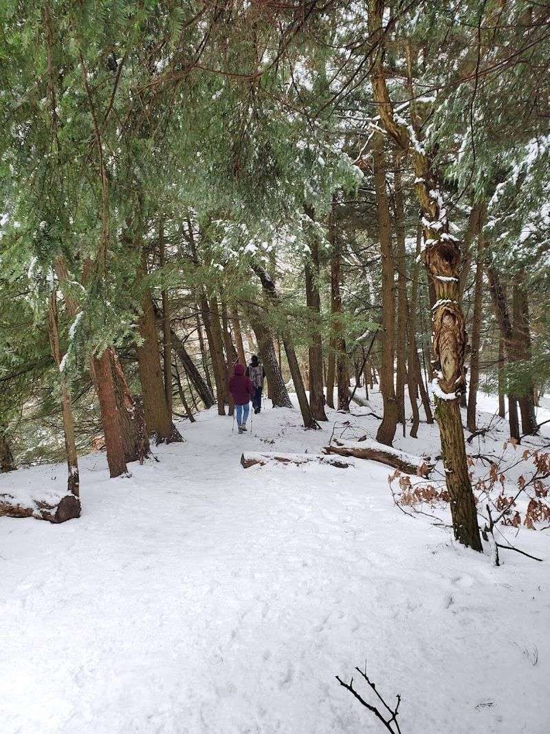 Snowshoeing Through a Winter Wonderland