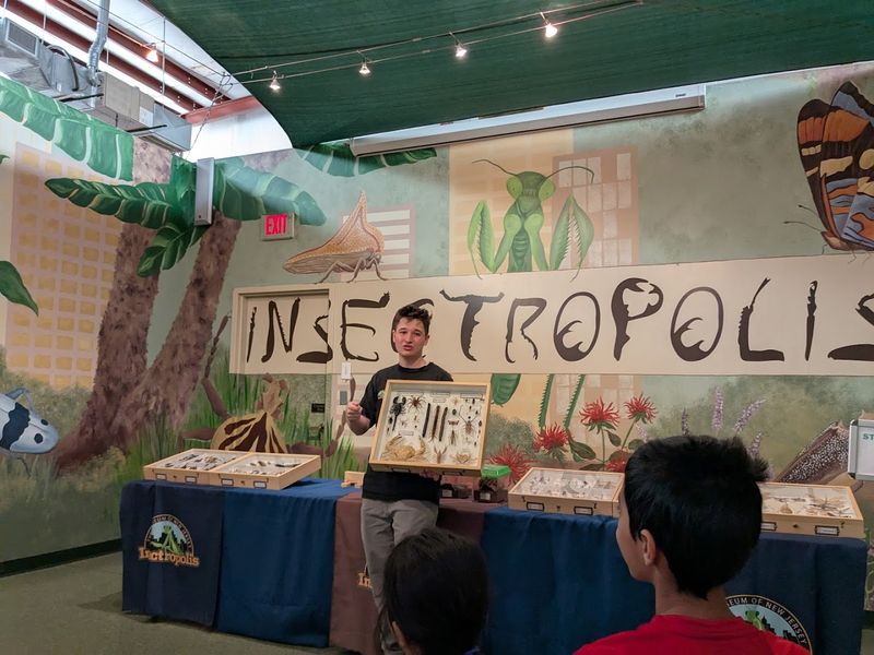 What the Staff Brings to the Experience