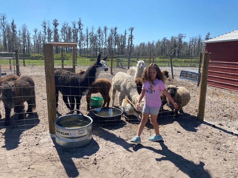 Learning About Farm Life in a Real and Meaningful Way