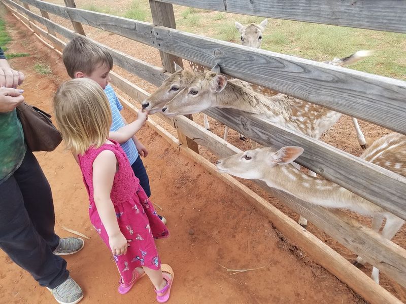 Practical Tips for First-Time Visitors