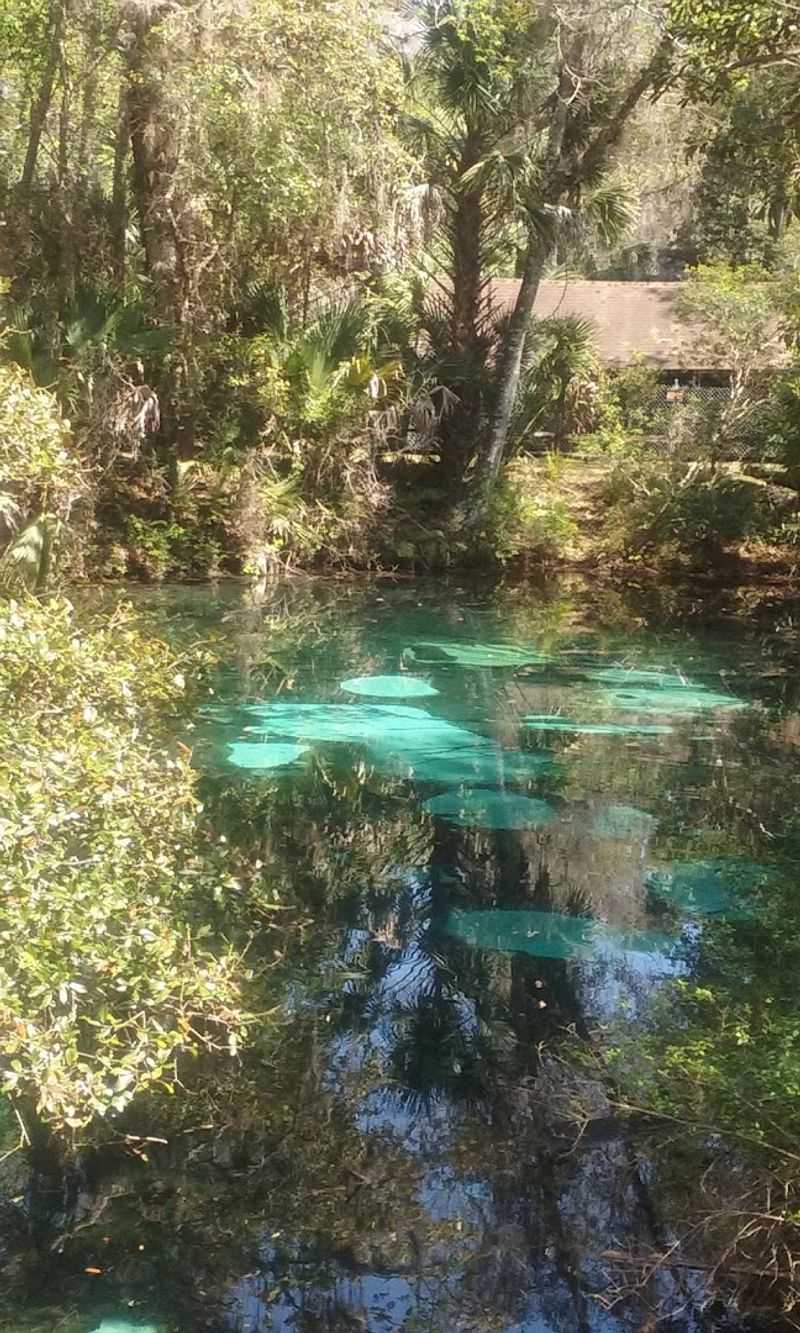 Juniper Springs Trail