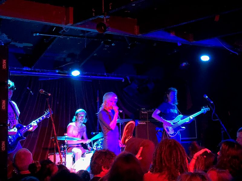 Amyl and the Sniffers