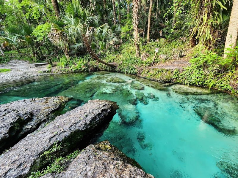 Rock Springs (Kelly Park)