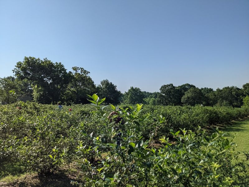 Where the Farm Sits and How to Find It