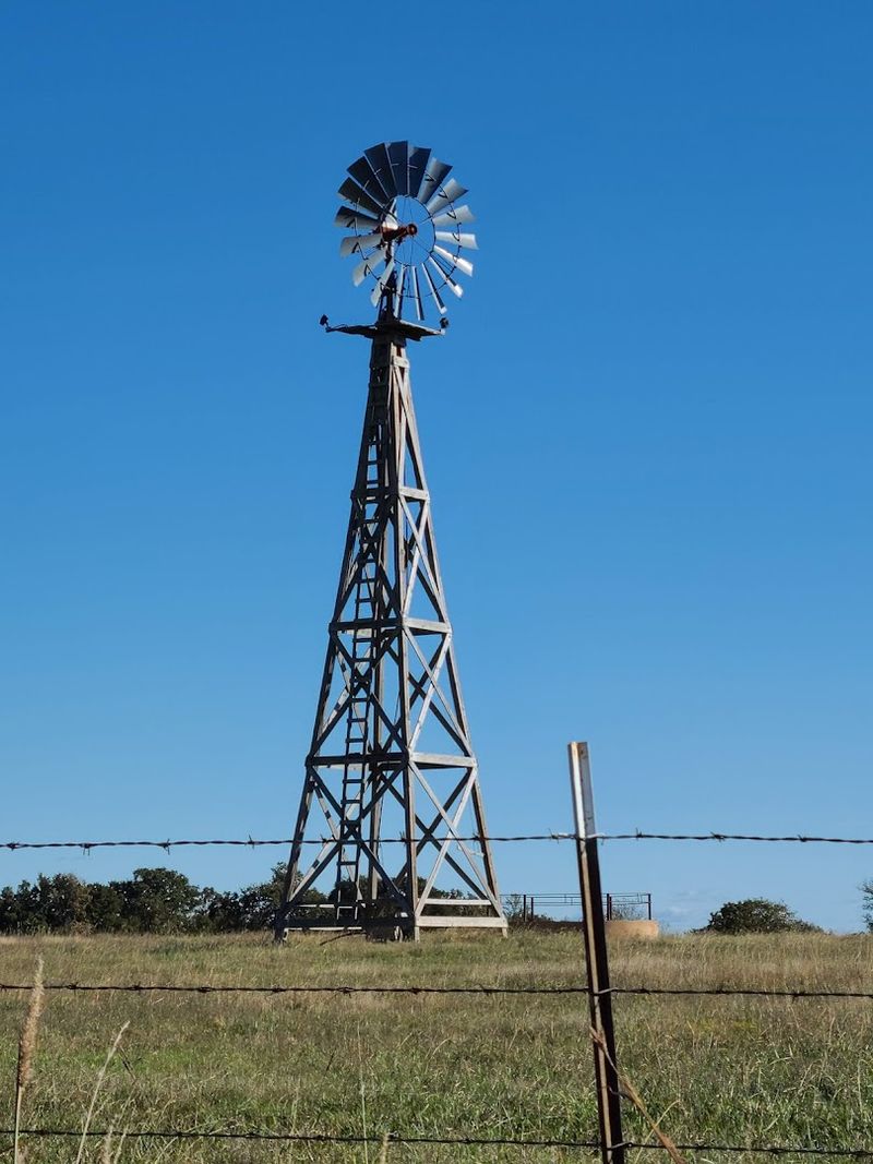 The Tallgrass Prairie Preserve and Its Bison Herd