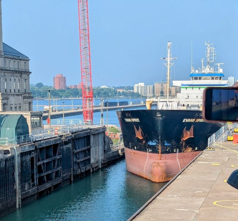 Best Time to Catch the Action