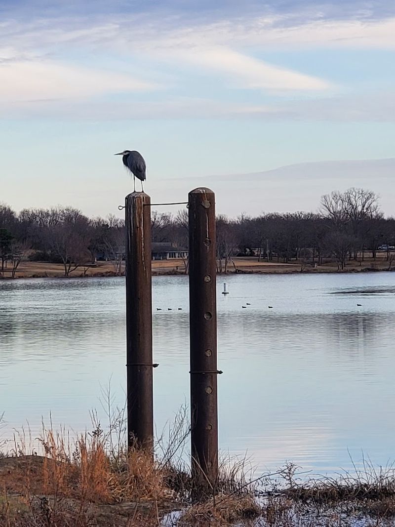 Wildlife and Nature Watching: The Park's Quieter Residents