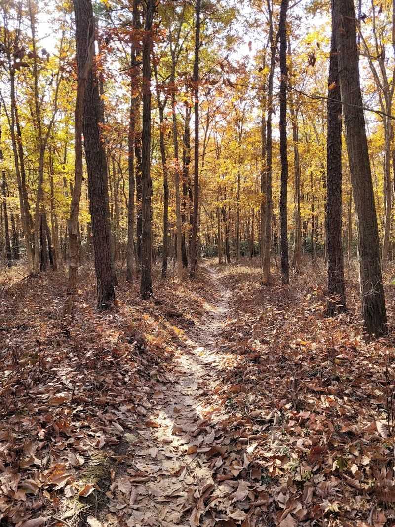 Nature Center Trail at Allaire State Park
