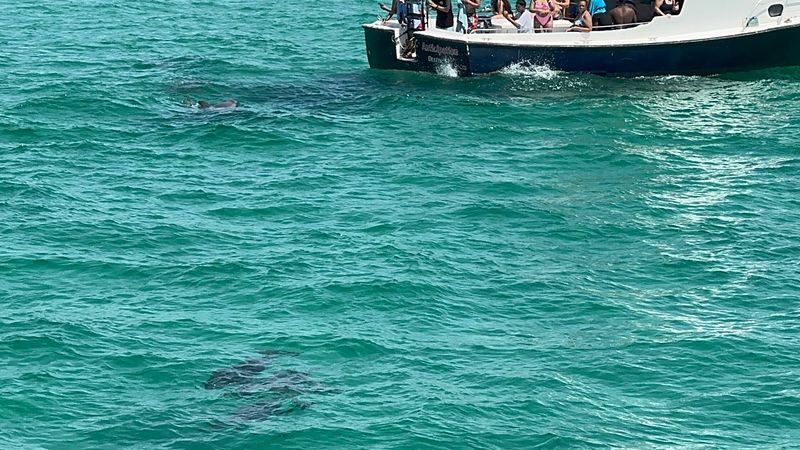 Military Discounts and Community Spirit on the Water