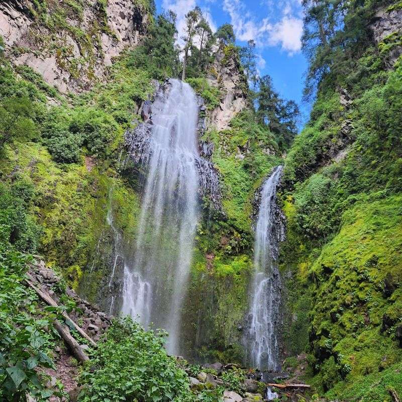 Mexico — Biodiversity in Every Climate