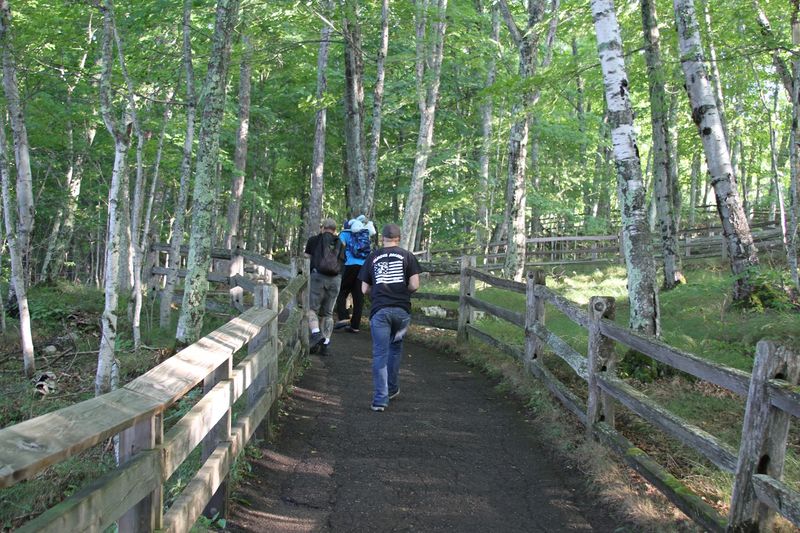 Tahquamenon Falls Is Practically in Your Backyard