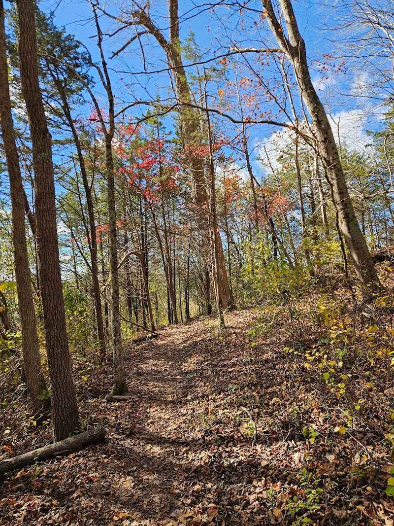 Best Seasons to Plan a Visit