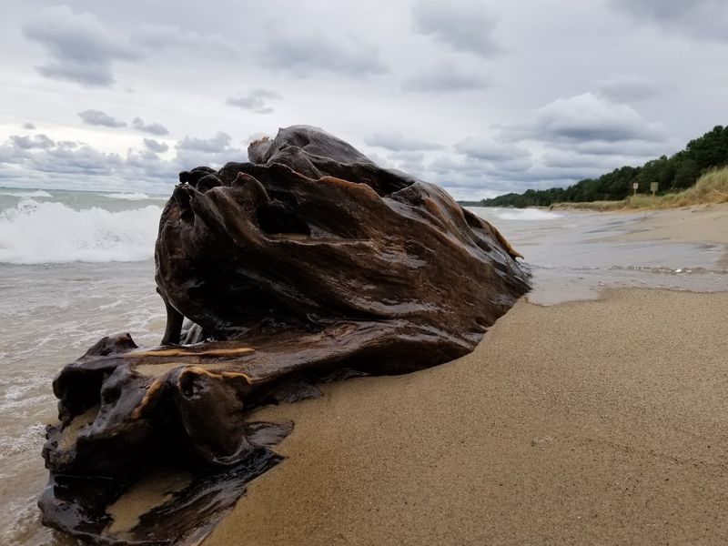 How Crowded It Gets and When to Visit for Quiet