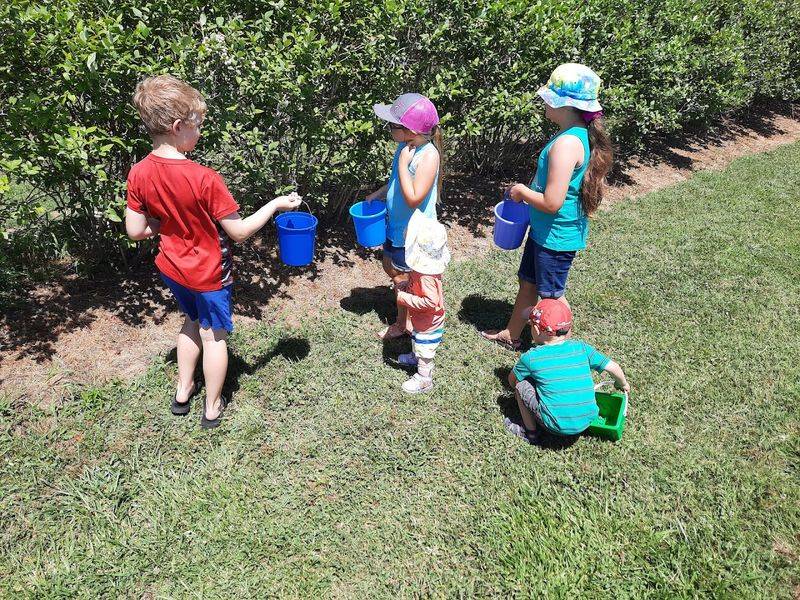 Practical Tips for Your Visit