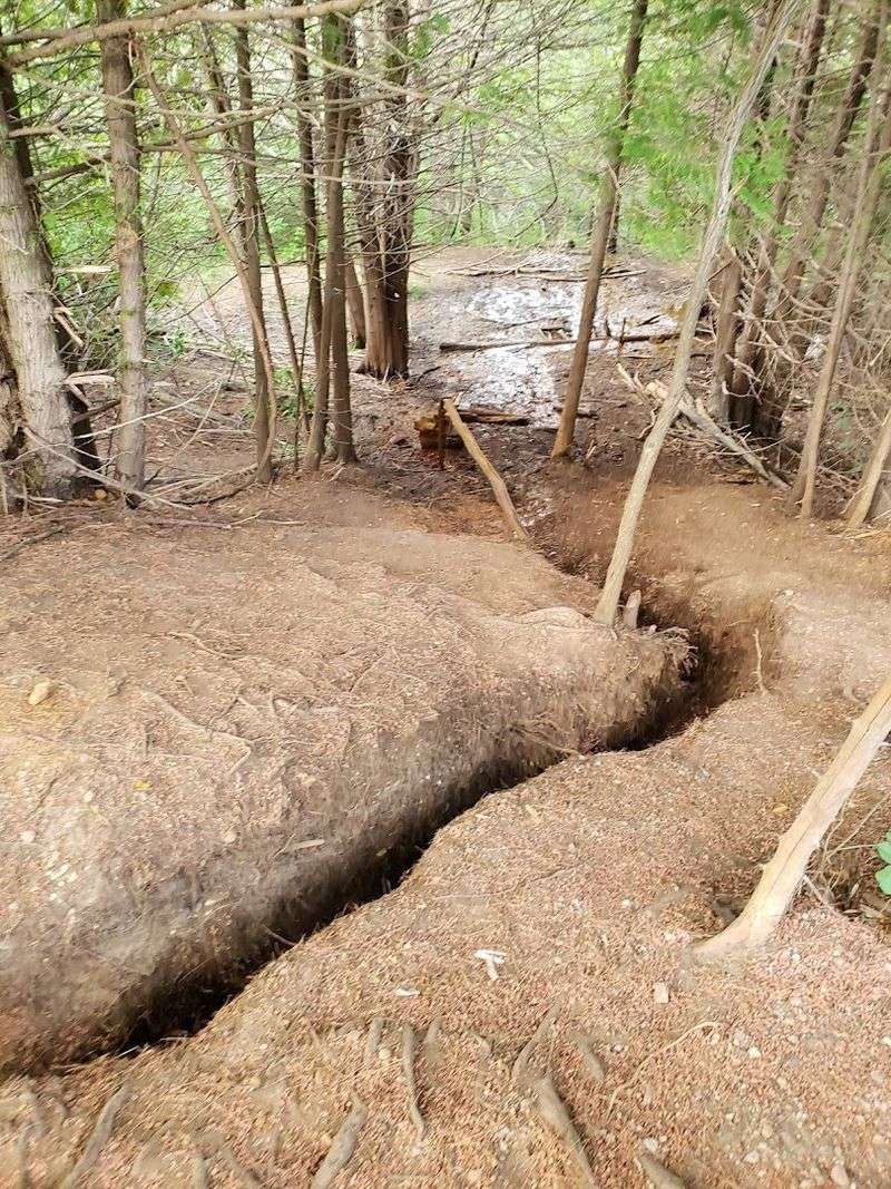 Trail Conditions and What to Wear Before You Go