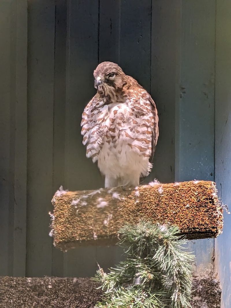 Educational Programs Worth Planning Around