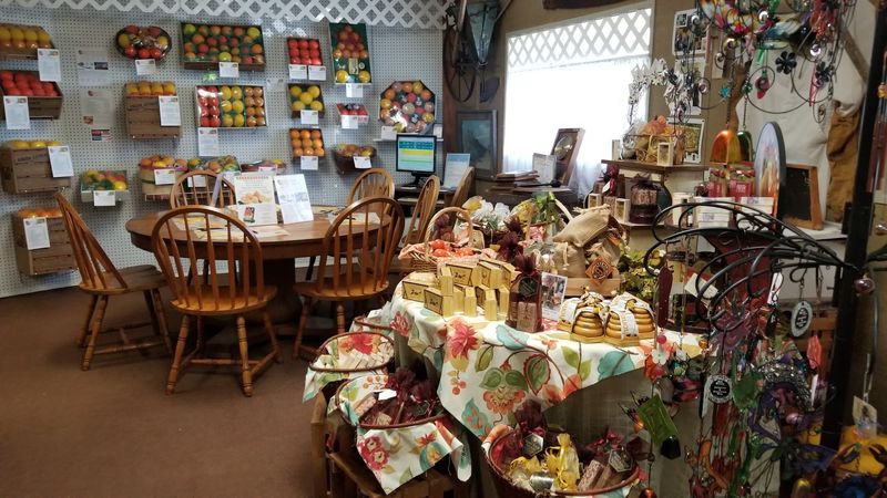 Tips for Getting the Most Out of Your Visit