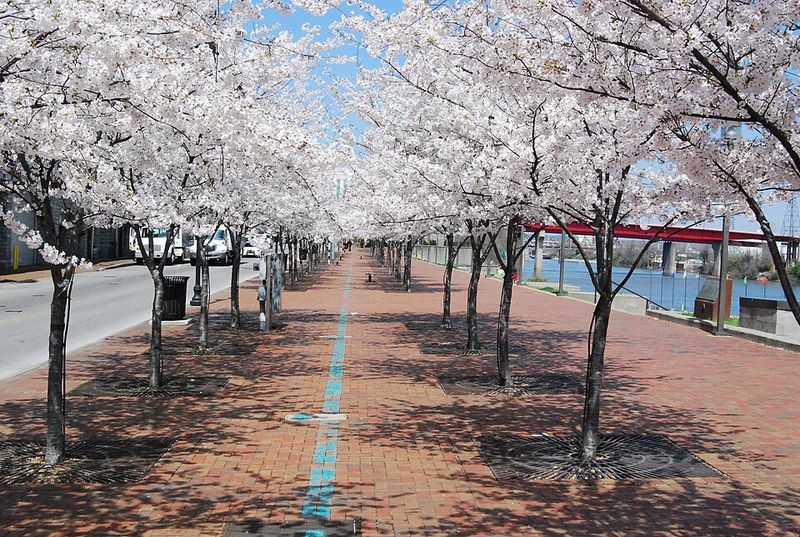 Nashville, Tennessee