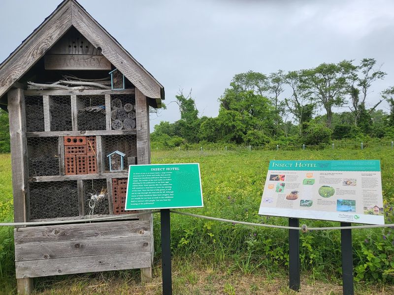 Signs that help the walk mean more