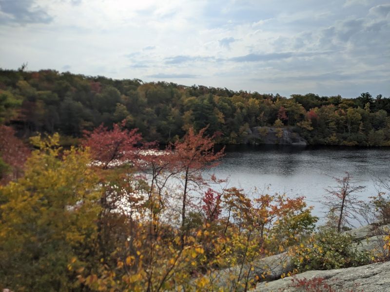 Terrace Pond Loop (Wawayanda State Park / Abram S. Hewitt)