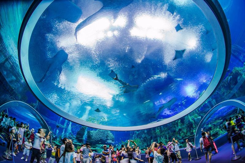 Chimelong Ocean Kingdom – China