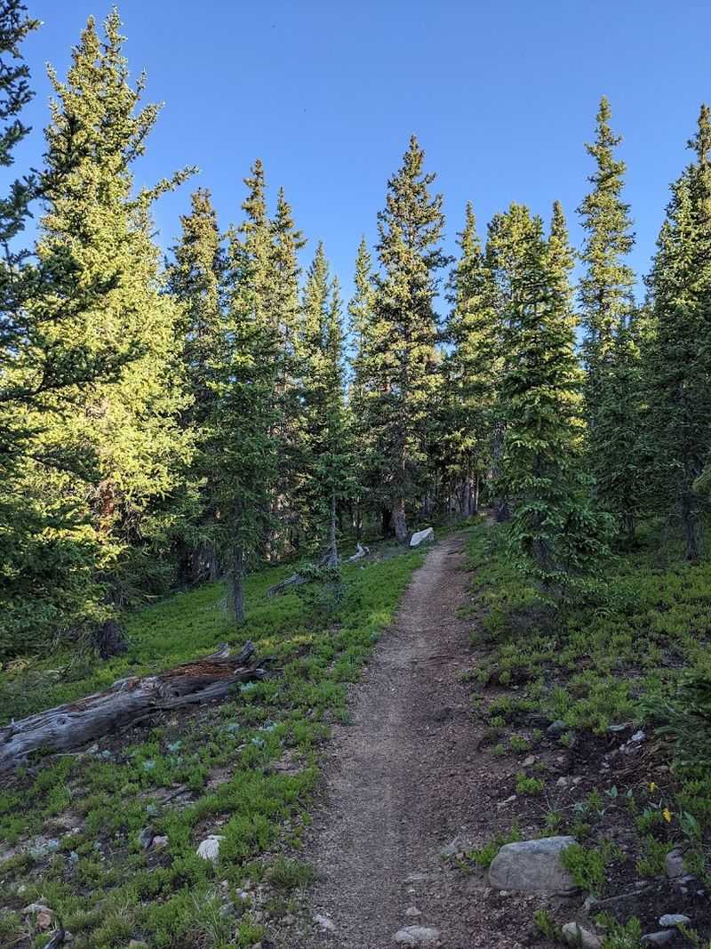Colorado - Colorado Trail