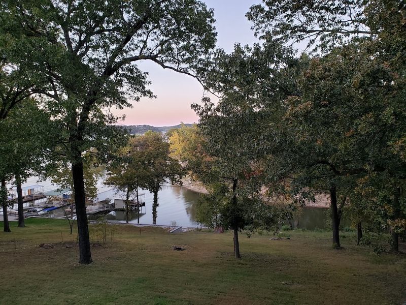 Wildlife and Natural Beauty Beyond the Water