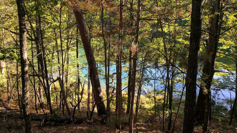 Section 4 Lake: A Natural Spring You Have to See to Believe