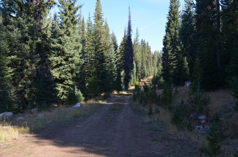 The History of the Route and the Region