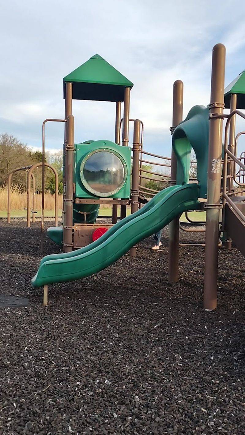 The Swimming Pool and Family Activities