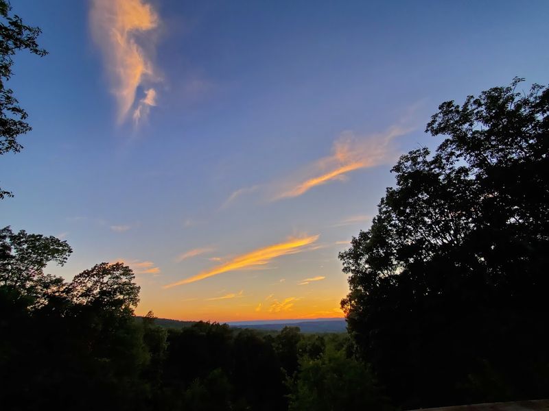 The Observatory: Stargazing Above the Treeline